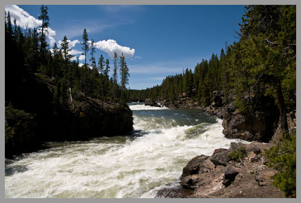 A picture of the Yellowstone River